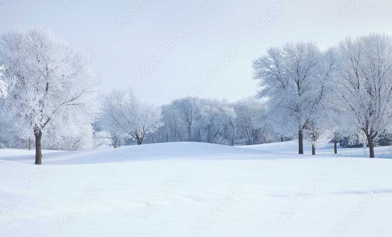 snowday